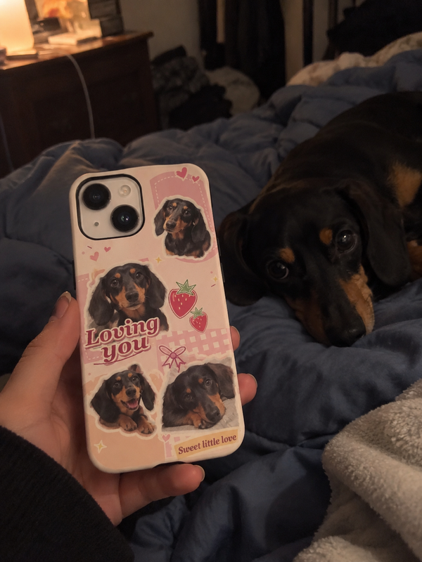 Pet collage phone case shown beside a black-and-tan dachshund.