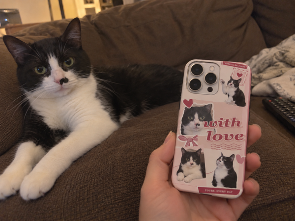 Pet collage phone case shown beside a black-and-white tuxedo cat.