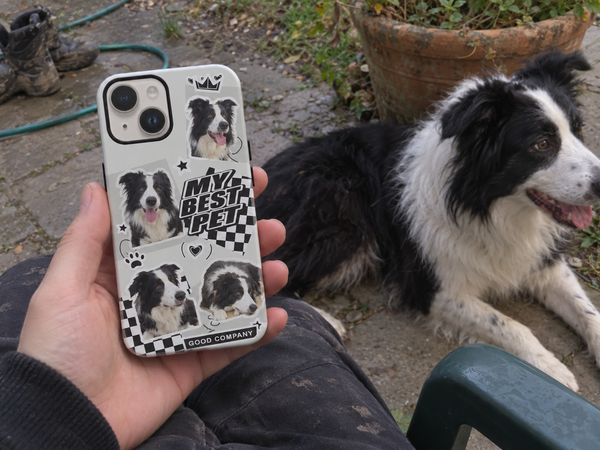 Pet collage phone case shown beside a black-and-white border collie.