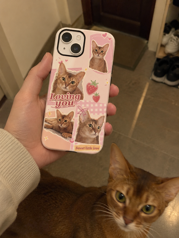 Pet collage phone case shown beside a cinnamon Abyssinian cat.