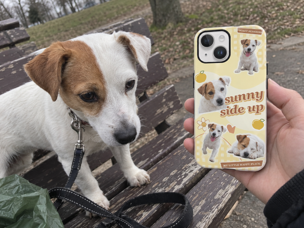 Pet collage phone case shown beside a Jack Russell terrier.